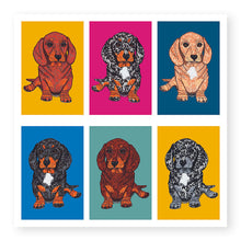 Load image into Gallery viewer, Whiskers Dachshund Card, (WH002)
