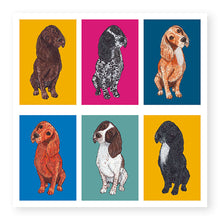 Load image into Gallery viewer, Whiskers Cocker Spaniel Card, (WH006)
